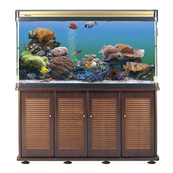 NINE STAR R6 BOTTOM-FILTRATION AQUARIUM TANK(R61510LD)