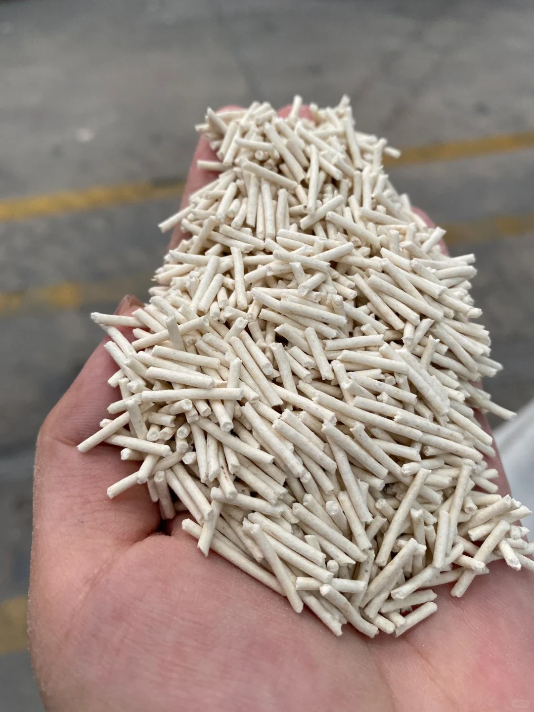 每天坚持发小红书_2_徐州猫砂工厂_来自小红书网页版.jpg 每天坚持发小红书_2_徐州猫砂工厂_来自小红书网页版.jpg